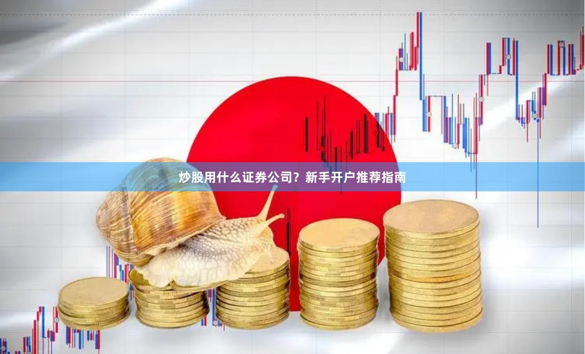 炒股用什么证券公司？新手开户推荐指南